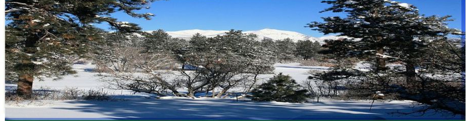 Shenandoah Durango image 2